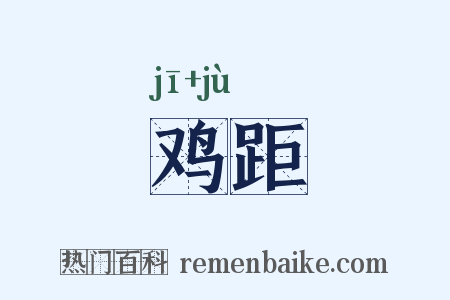 鸡距是什么意思的图片